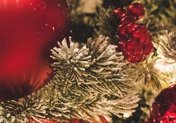 pexels-brett-sayles-1645170-576x853